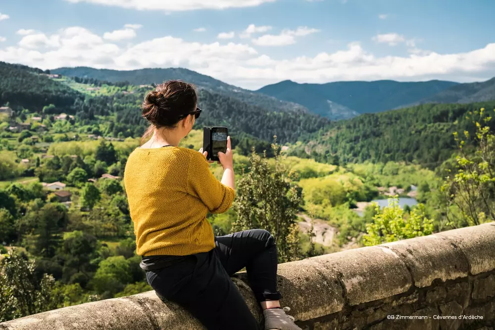 ZAMKNIĘTE HORTENZJE