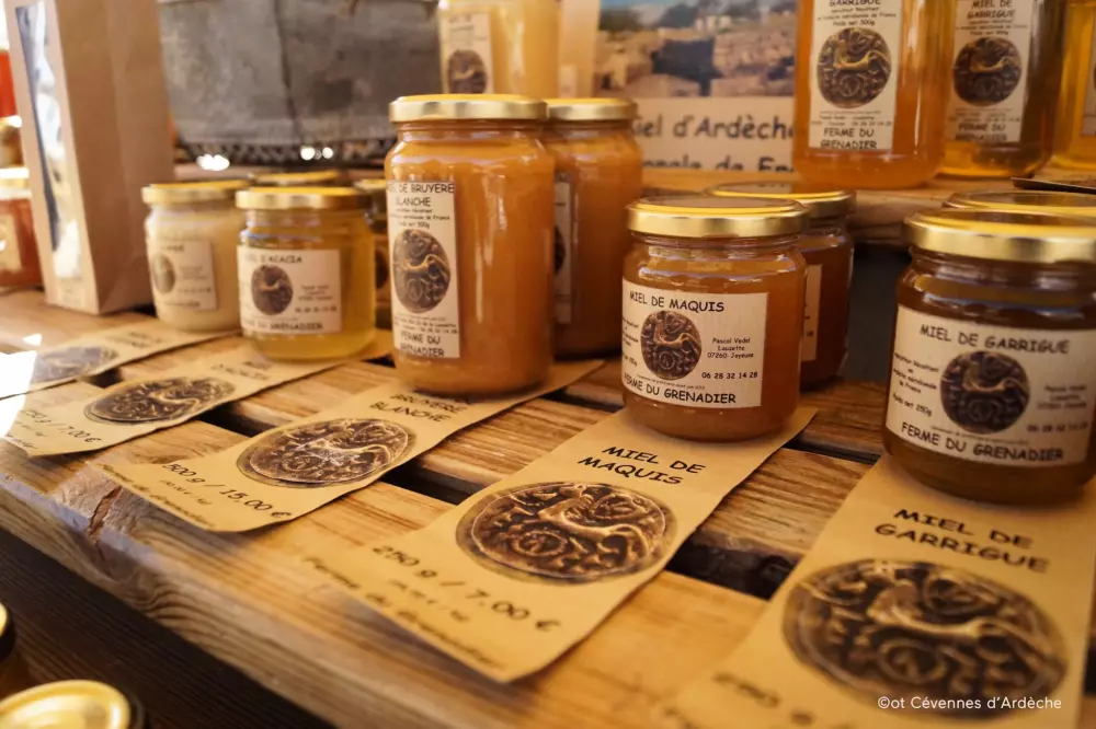 ZAMKNIĘTE HORTENZJE