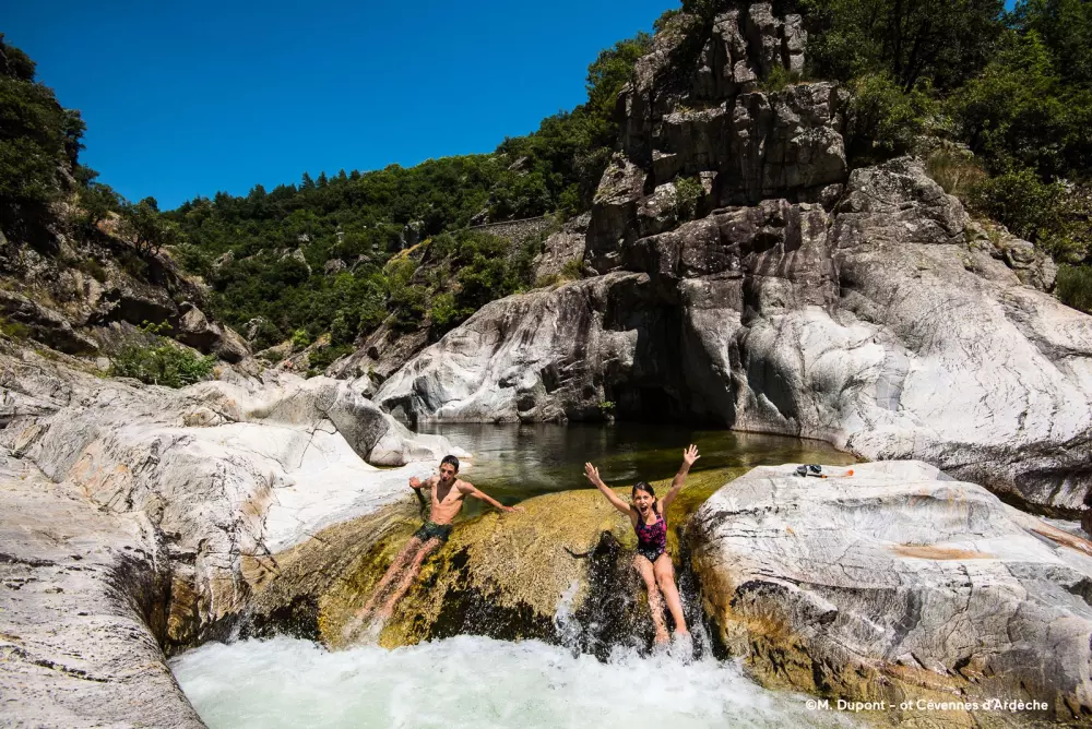 ZAMKNIĘTE HORTENZJE