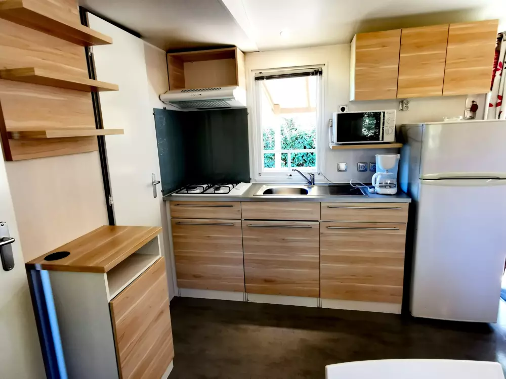 ZAMKNIĘTE HORTENZJE