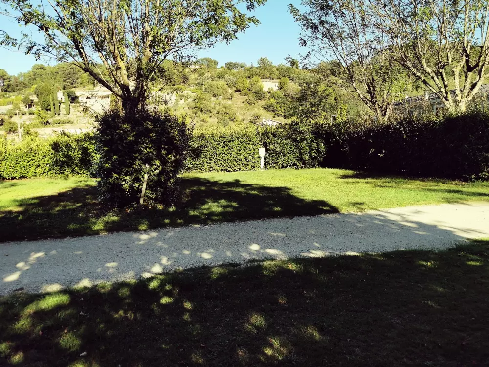 ZAMKNIĘTE HORTENZJE