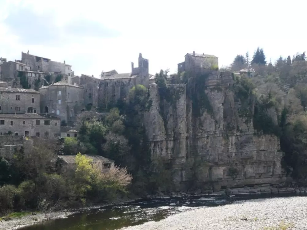 ZAMKNIĘTE HORTENZJE