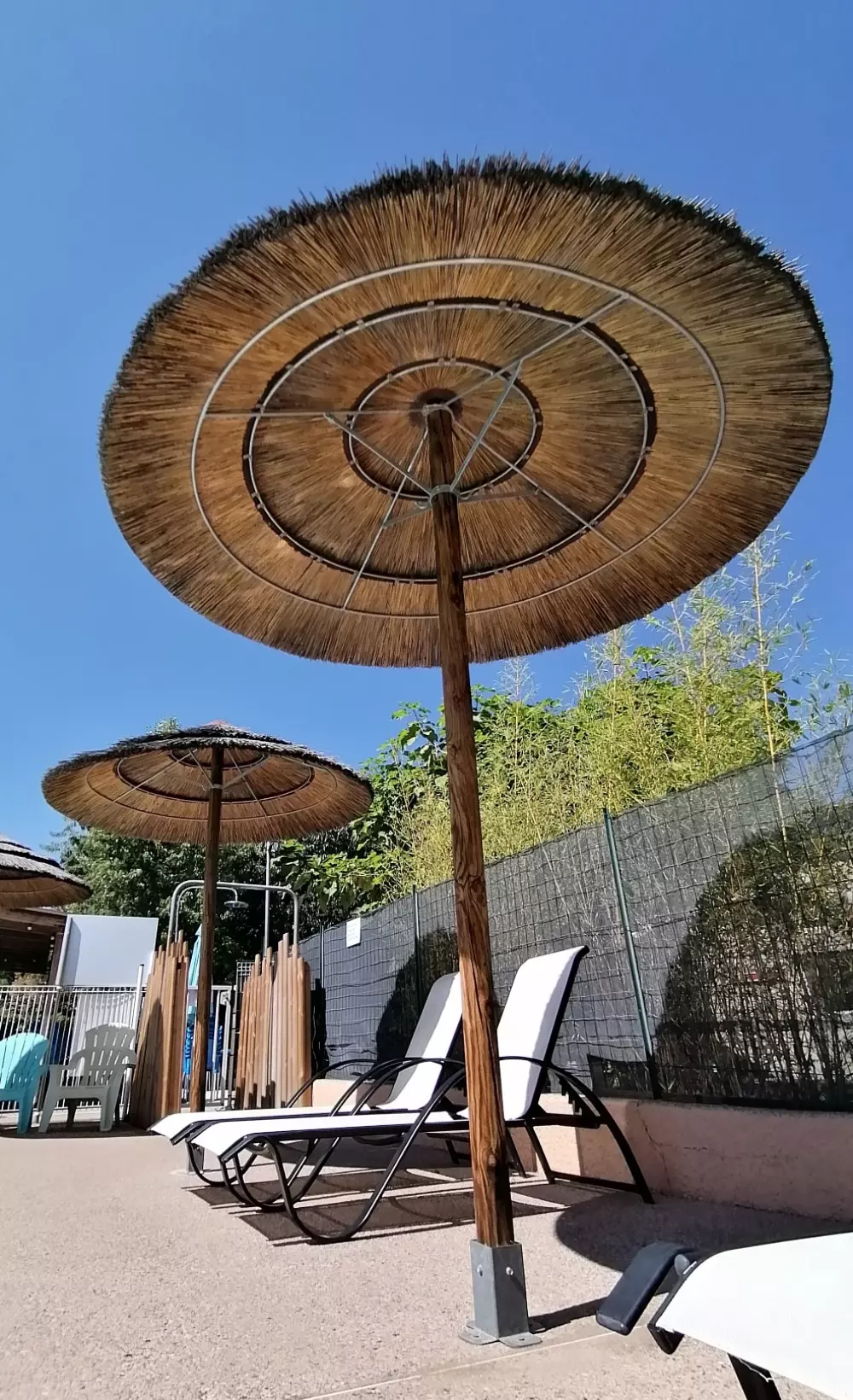 ZAMKNIĘTE HORTENZJE