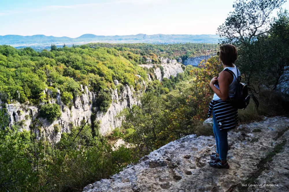 ZAMKNIĘTE HORTENZJE