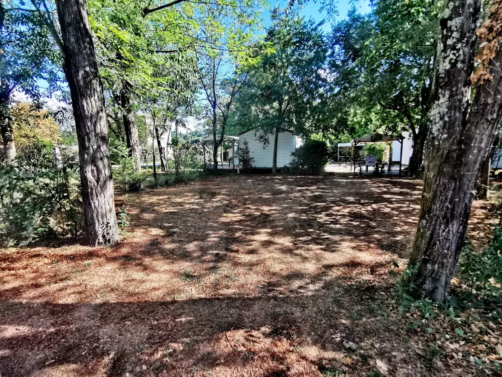 ZAMKNIĘTE HORTENZJE