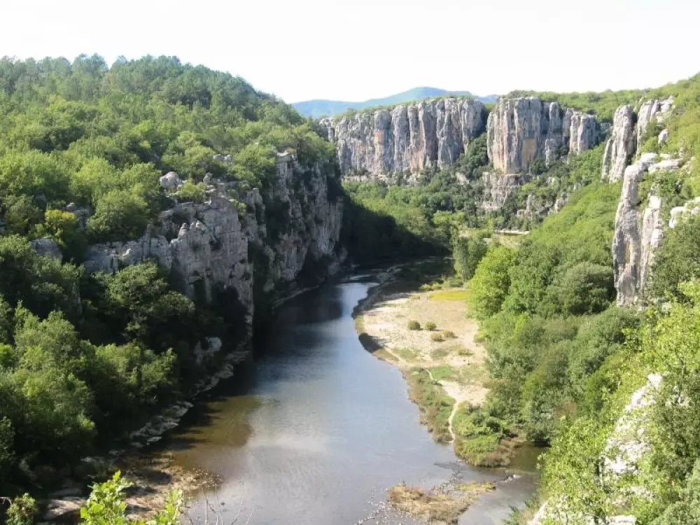 ZAMKNIĘTE HORTENZJE