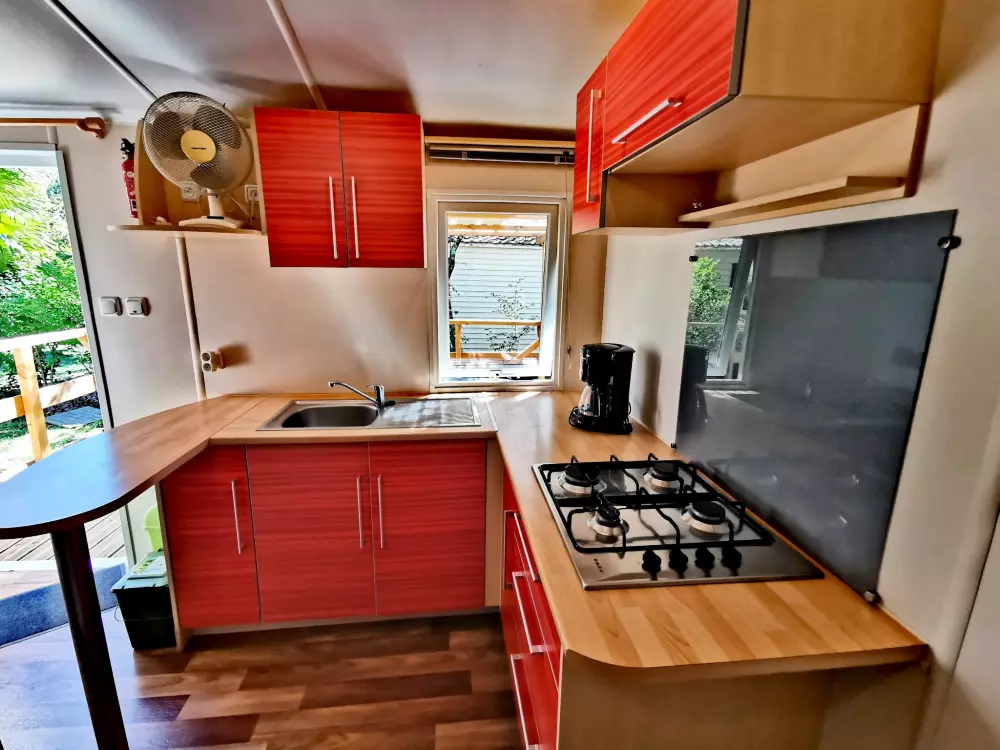 ZAMKNIĘTE HORTENZJE