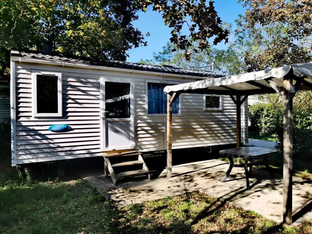 ZAMKNIĘTE HORTENZJE