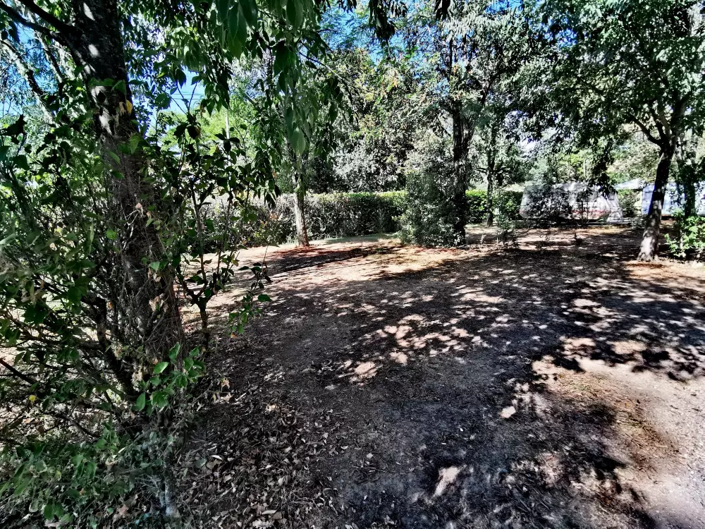 ZAMKNIĘTE HORTENZJE