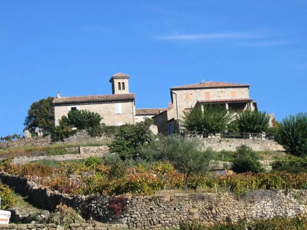 ZAMKNIĘTE HORTENZJE