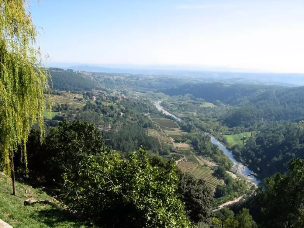 ZAMKNIĘTE HORTENZJE