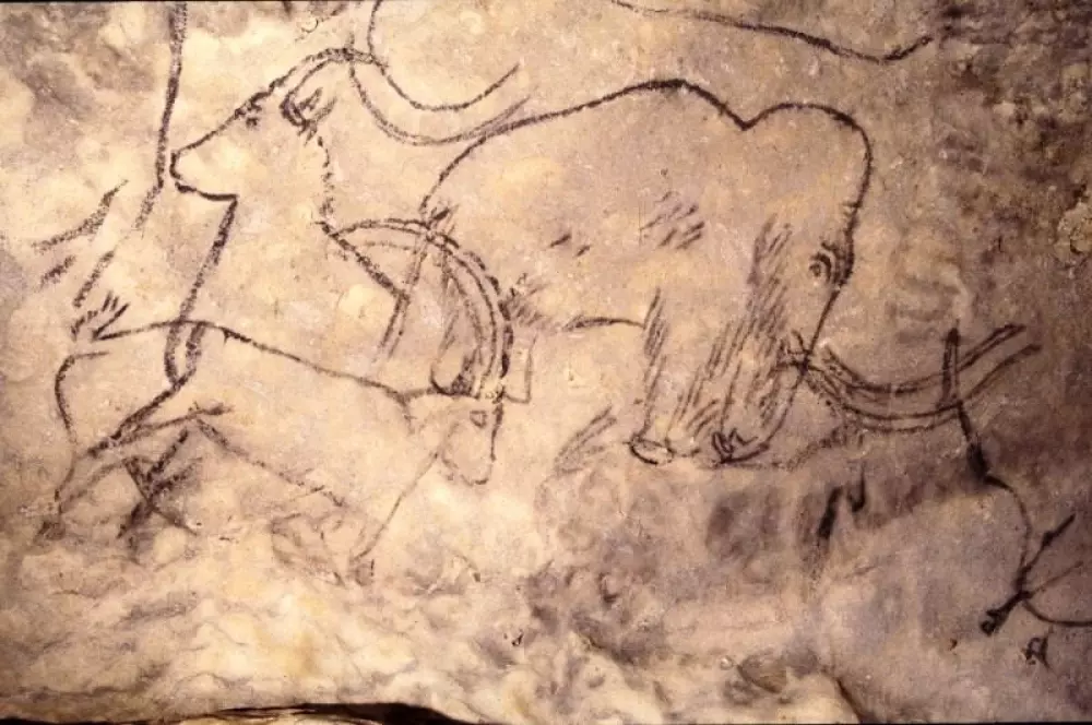 Campingplads La Nouvelle Crozebæk