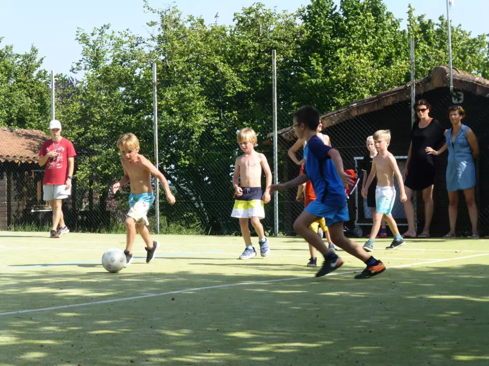 Campingpladser i Les Terrasses de Dordogne