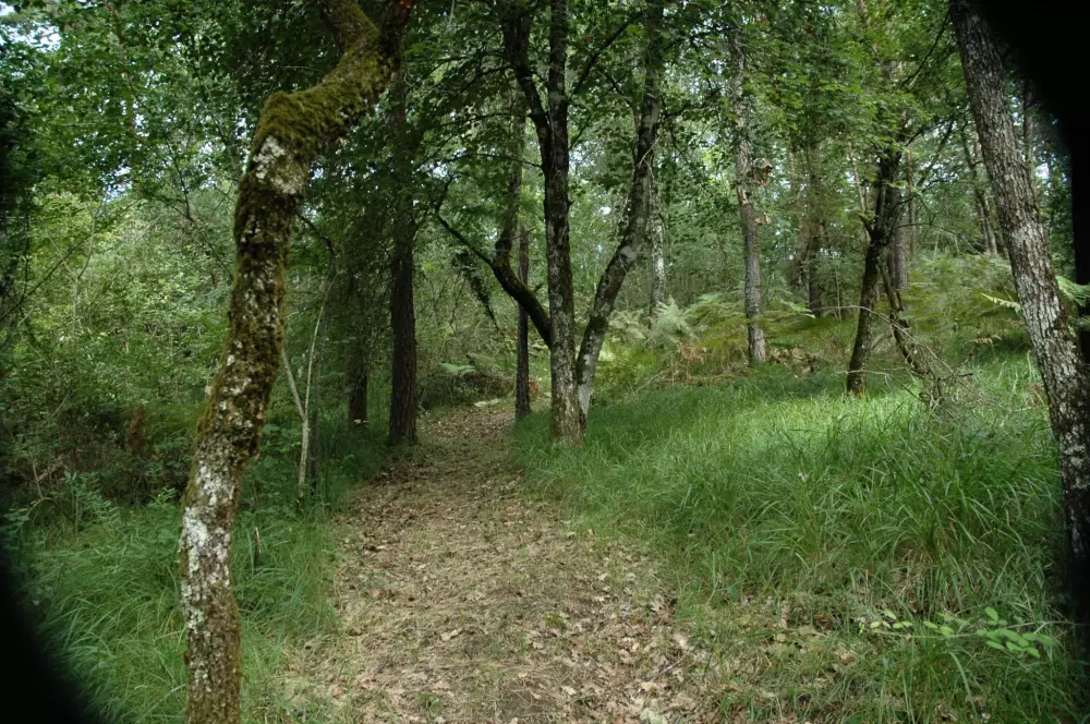 Campingpladser i Les Terrasses de Dordogne