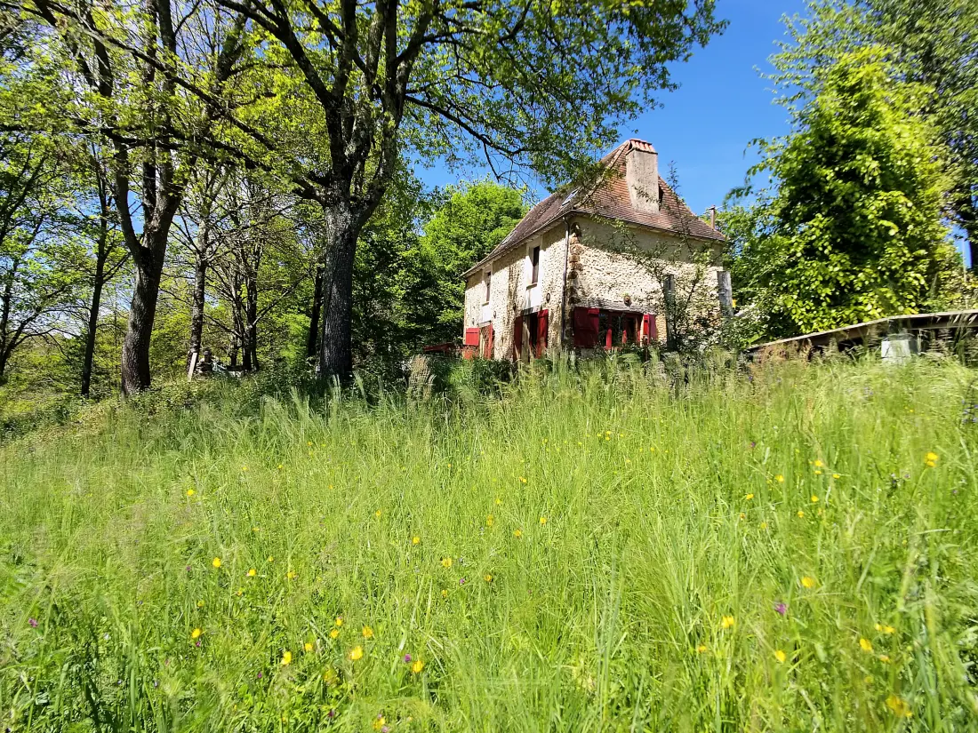 House in Rouffignac Saint-Cernin