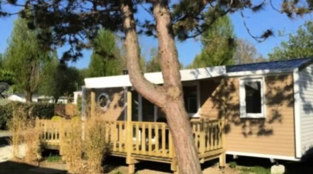 Campingplatz Paradis Les Pins Royan 4 Sterne★★★★