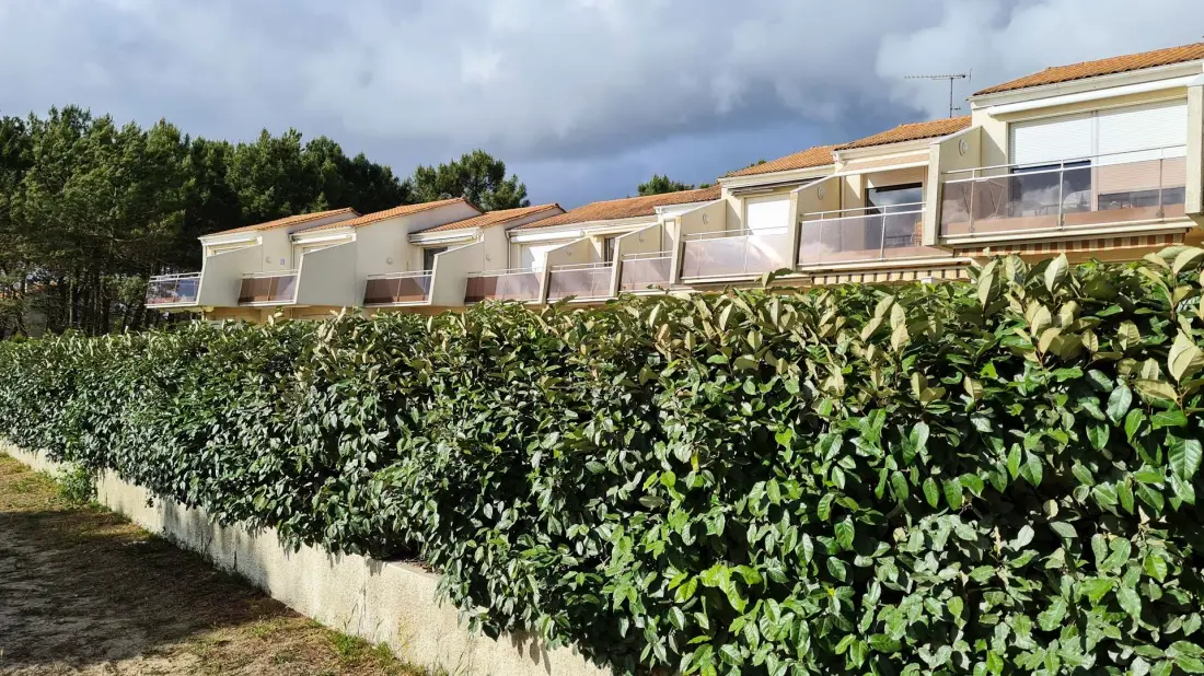 Star Residence De Mer