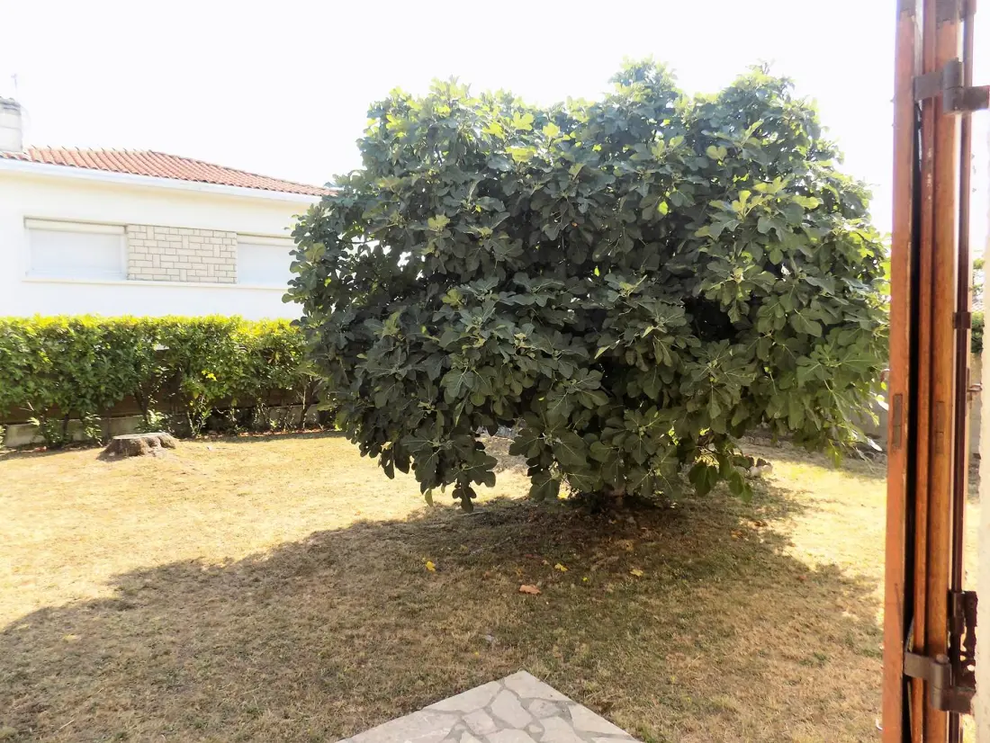Residence De Sg04446-st Georges De Didonne