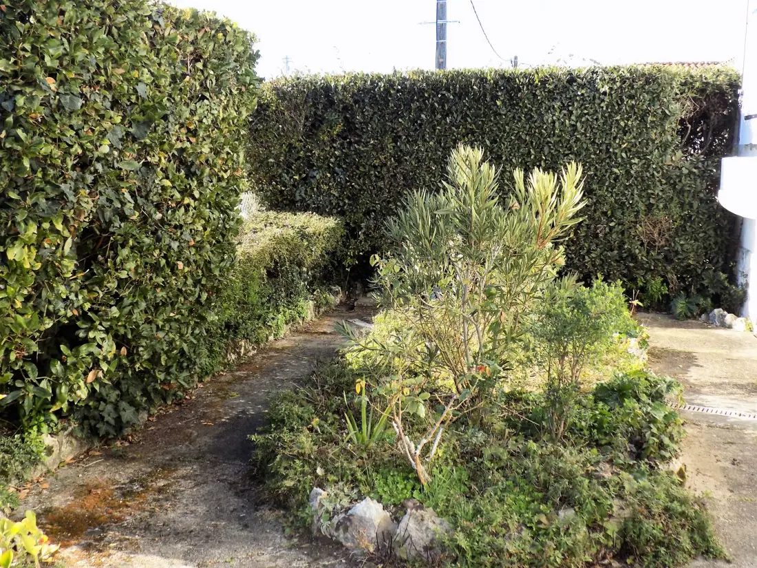 Residence Mais Sg04454-st Georges De Didonne