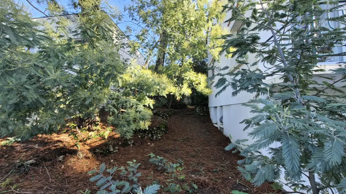 Residence Mais Sg06542-st Georges De Didonne