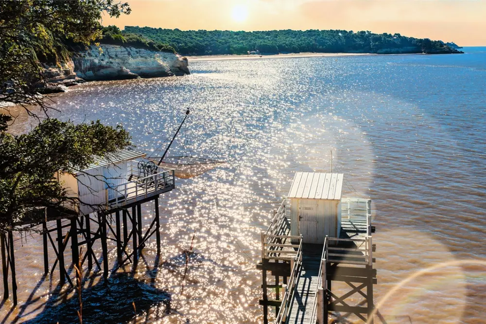 Camping Royal Ocean 41 Stars★