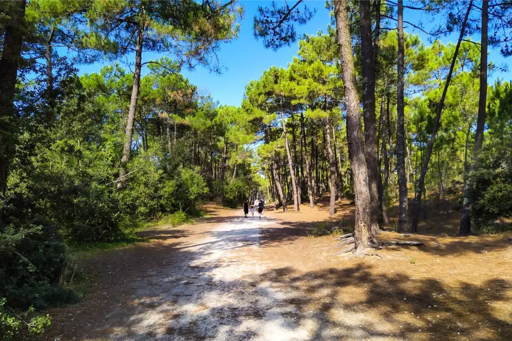 Camping Royal Ocean 41 Stars★