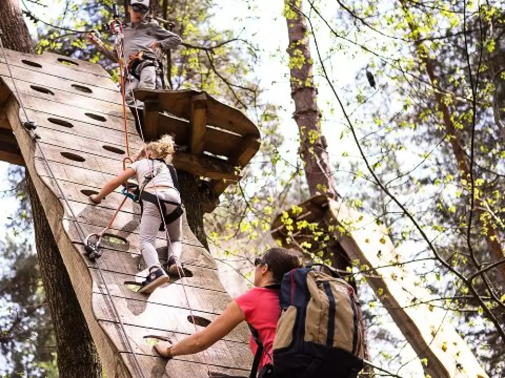 Camping Chant Des Oiseaux 3 Sterren★★★