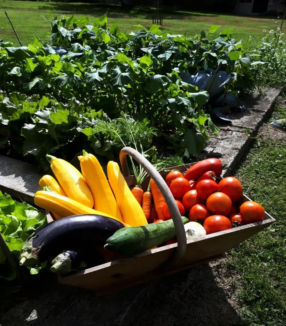Gîte de France De masbareau, onderdak voor het oude landgoed 3 aren