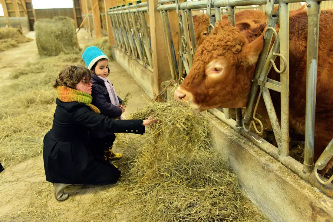 Gîte de France De masbareau, onderdak voor het oude landgoed 3 aren