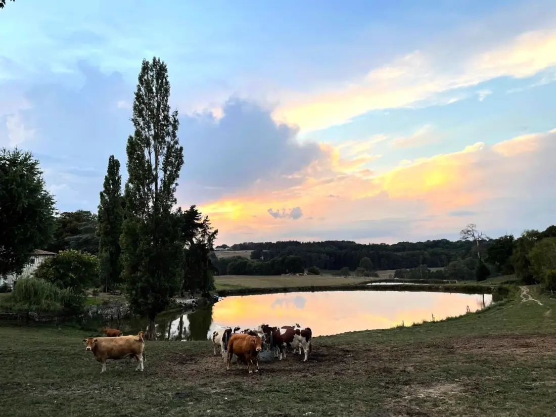 Gîte de France De masbareau, onderdak voor het oude landgoed 3 aren