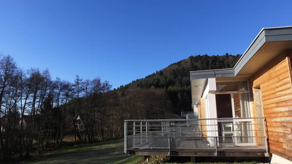 VVF Saâles...