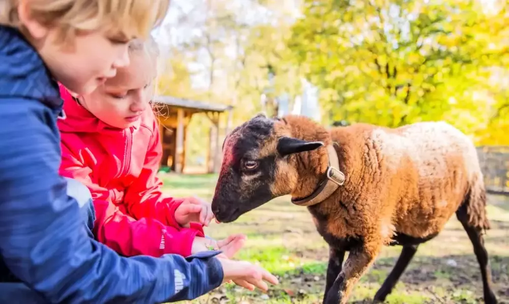 Camping Landal Warsberg5 Sterren★★★★★