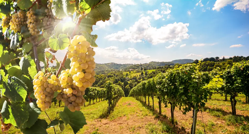 Camping maeva Escapades Bel-Air 3 Sterne★★★