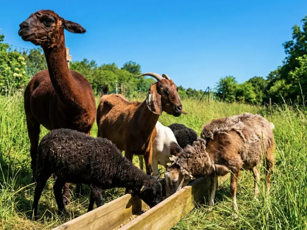 Camping maeva Escapades Bel-Air 3 Sterne★★★