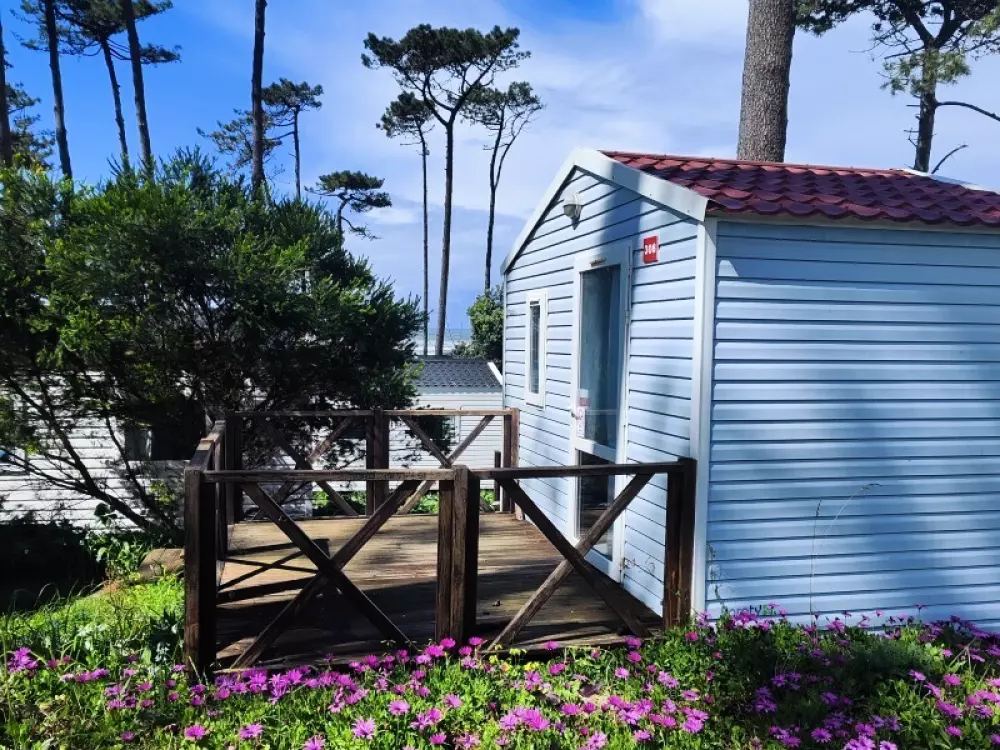 Campingplatz Orbitur Sagres3 Sterne★★★