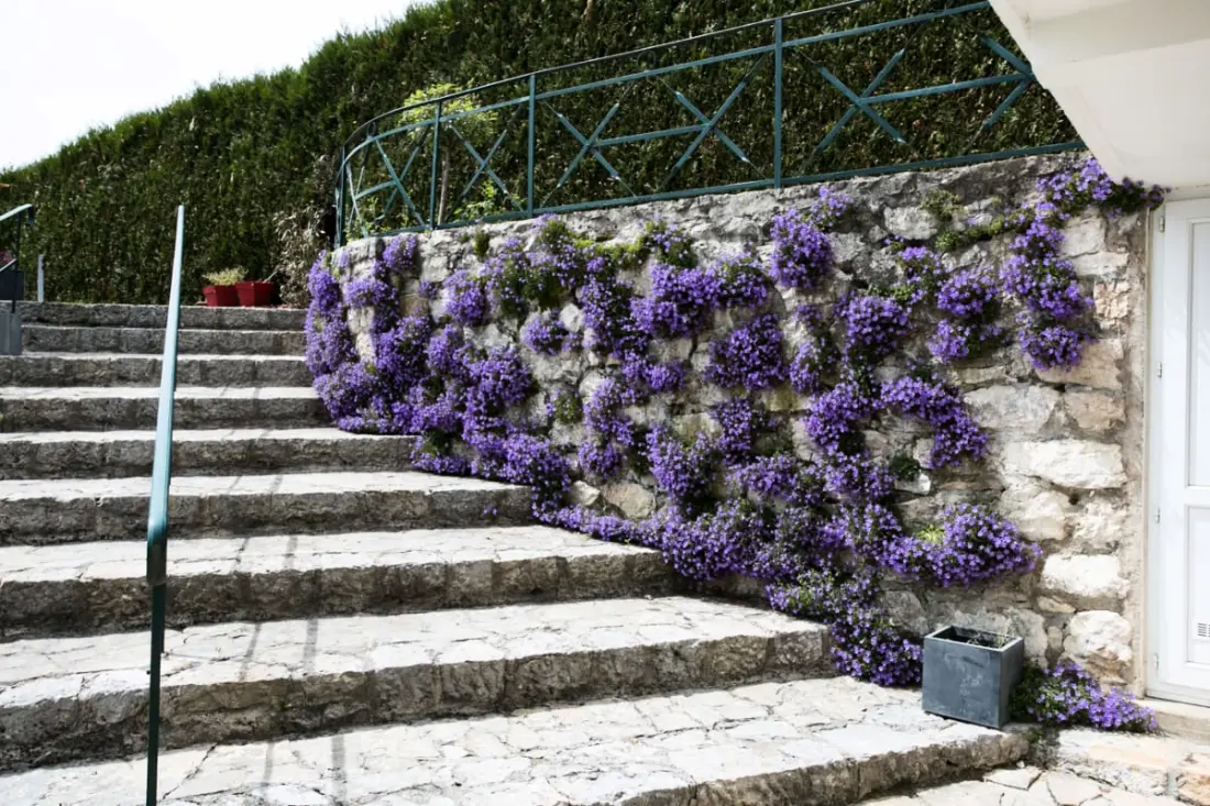 Les Nénuphars, csodálatos Villa Au Bord Du Canal!