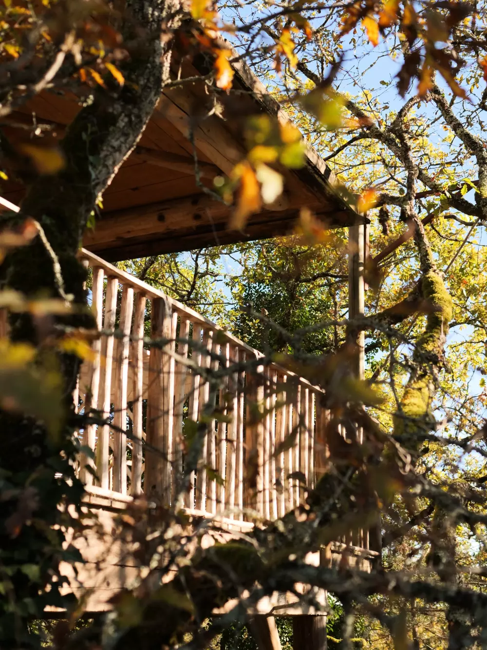 Domaine Périgord Vacances 3 Sterne★★★