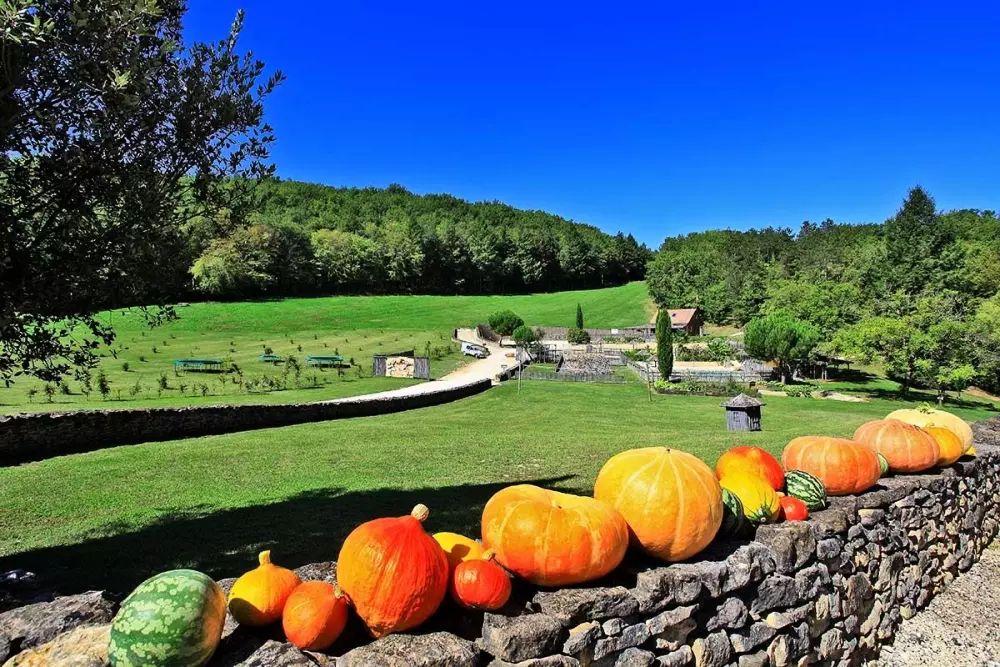 Domaine Périgord Vacances 3 Sterne★★★