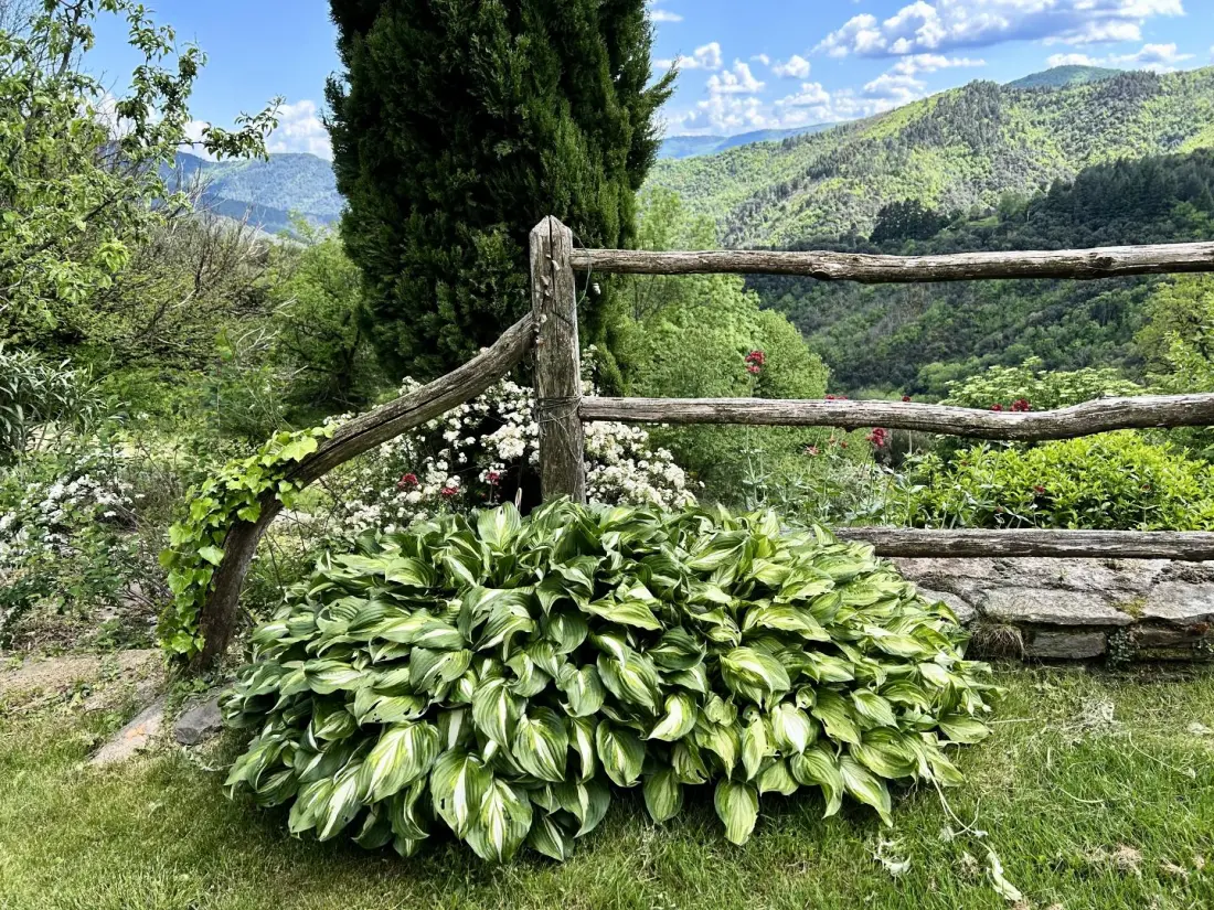 Gîte de France Gîte de pushiels 3 Ohren