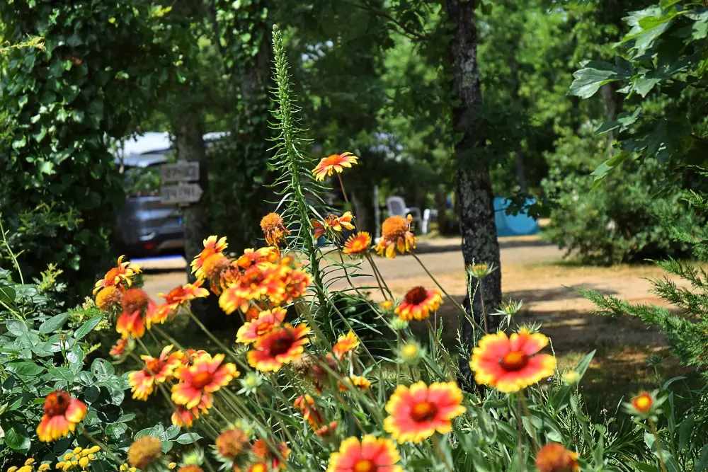 Camping LES 3 CANTONS 4 étoiles★★★★