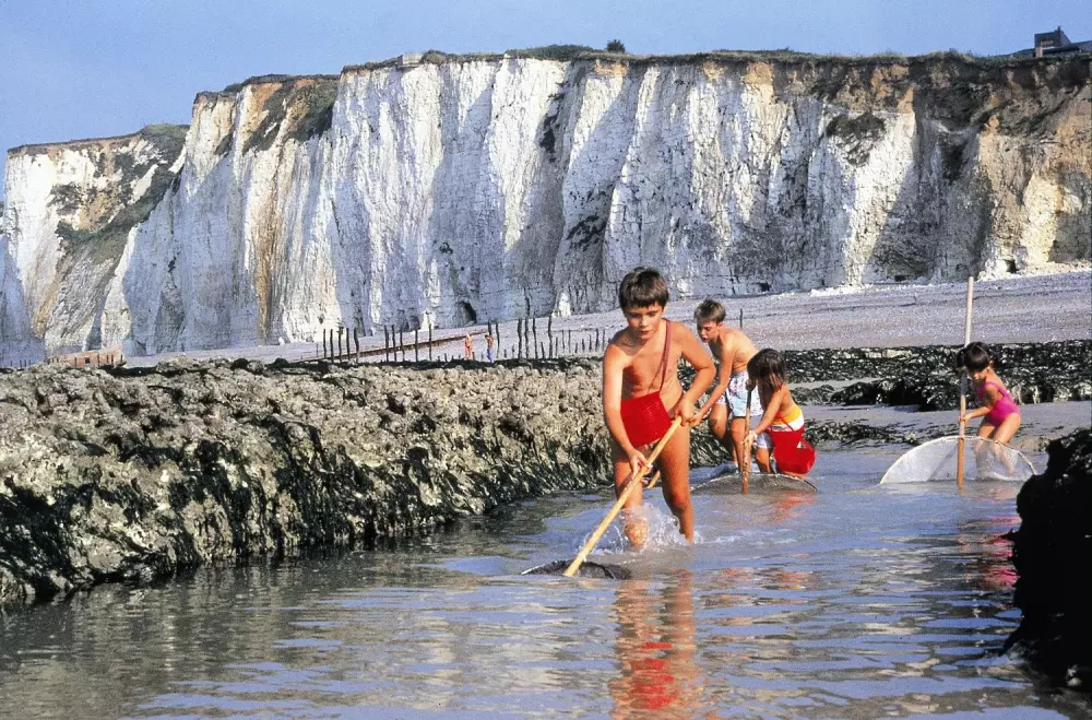 Flower Camping Vitamin 4 étoiles★★★★