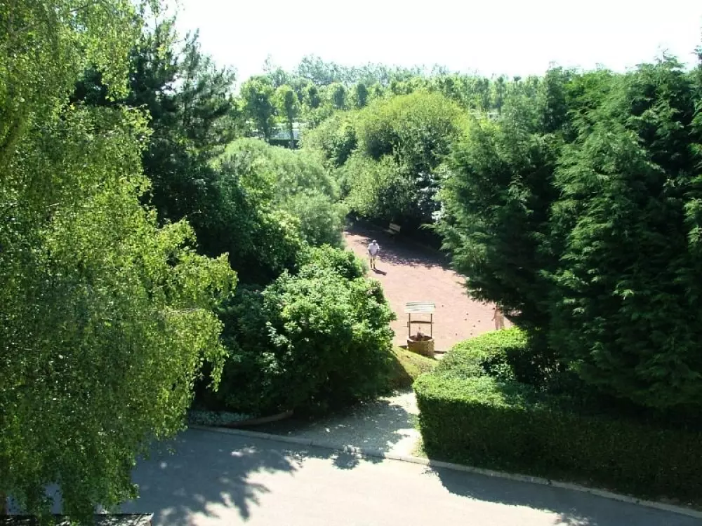 Flower Camping Vitamin 4 étoiles★★★★