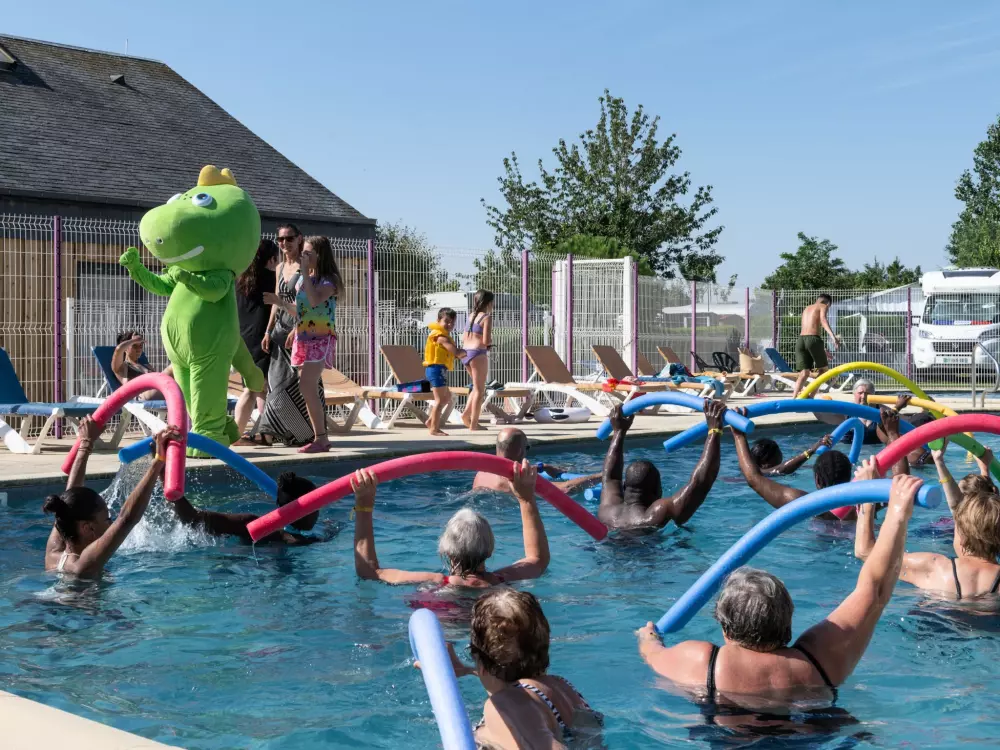 Flower Camping Vitamin 4 étoiles★★★★