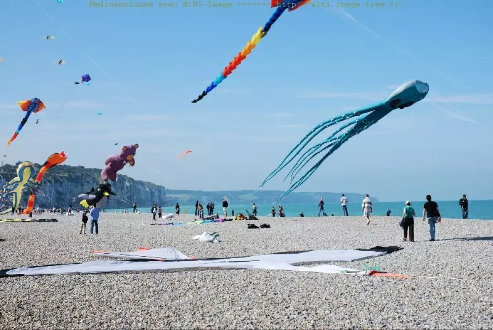 Flower Camping Vitamin 4 étoiles★★★★