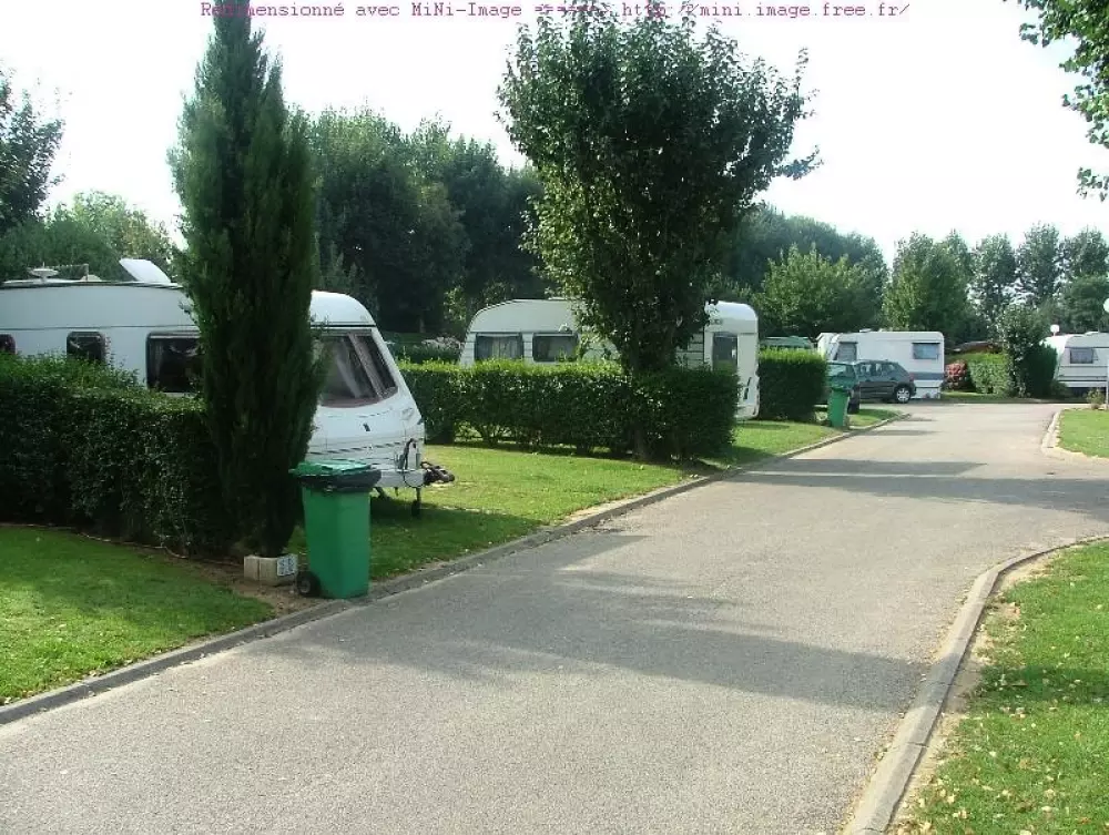 Flower Camping Vitamin 4 étoiles★★★★