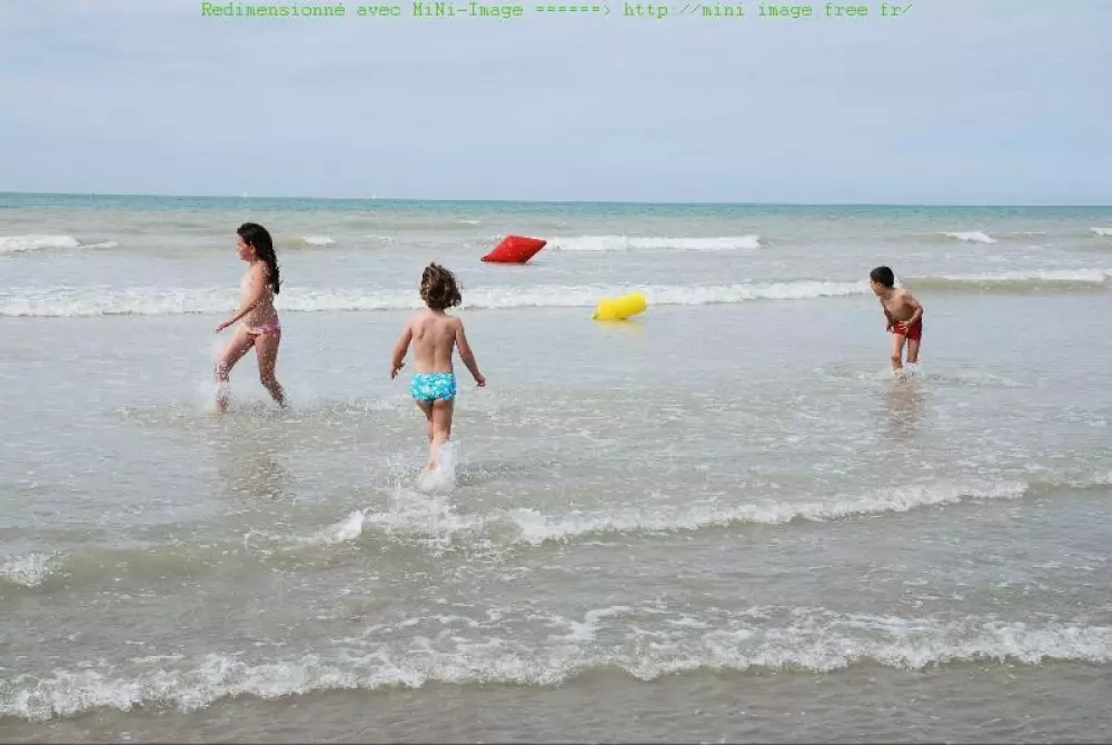 Flower Camping Vitamin 4 étoiles★★★★