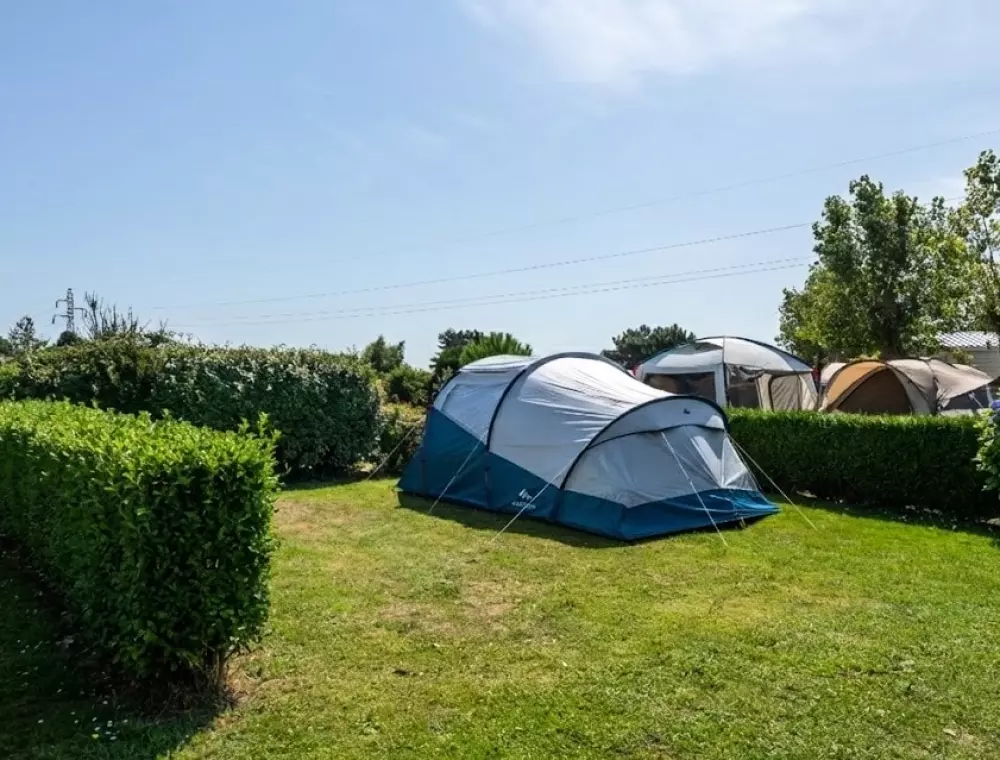 Flower Camping Vitamin 4 étoiles★★★★