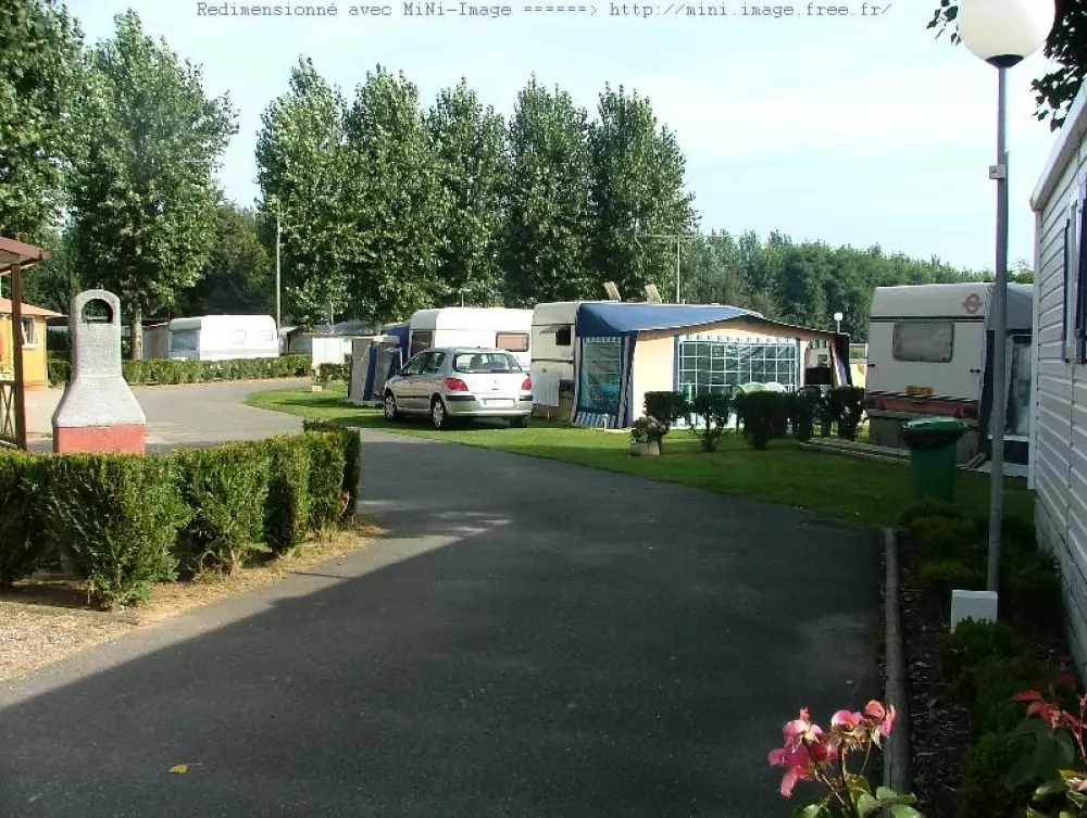 Flower Camping Vitamin 4 étoiles★★★★