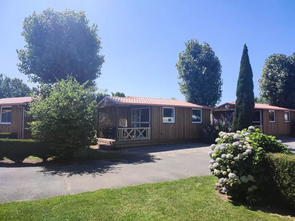 Flower Camping Vitamin 4 étoiles★★★★