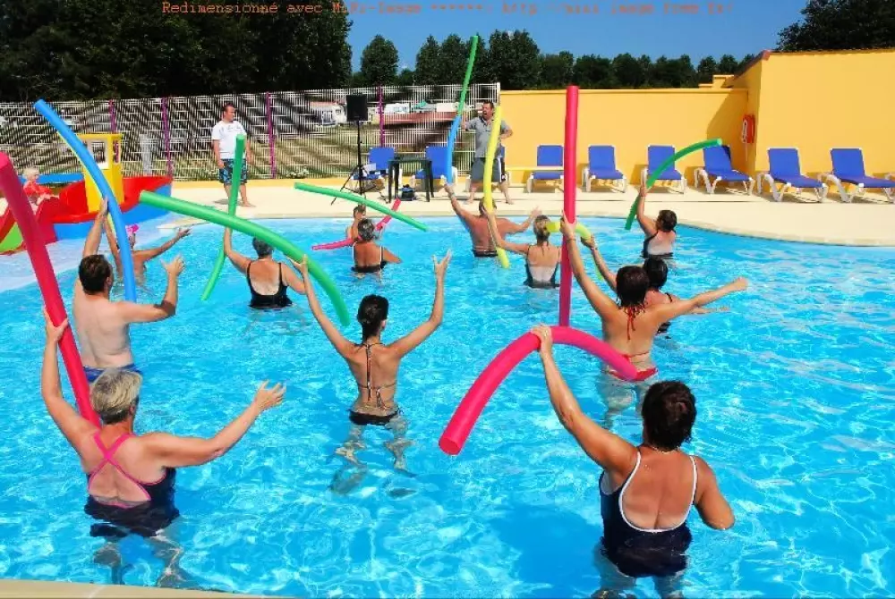 Flower Camping Vitamin 4 étoiles★★★★